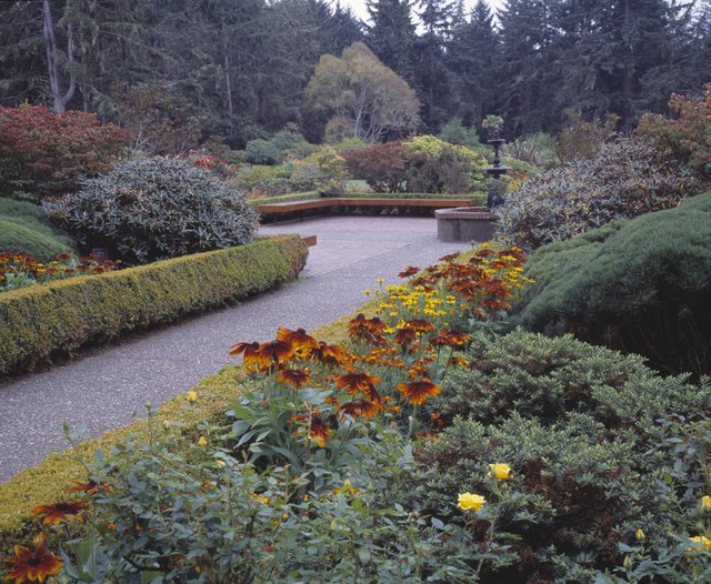 A border full of nitrogen-fixing shrubs is a low-maintenance option in gardens.
