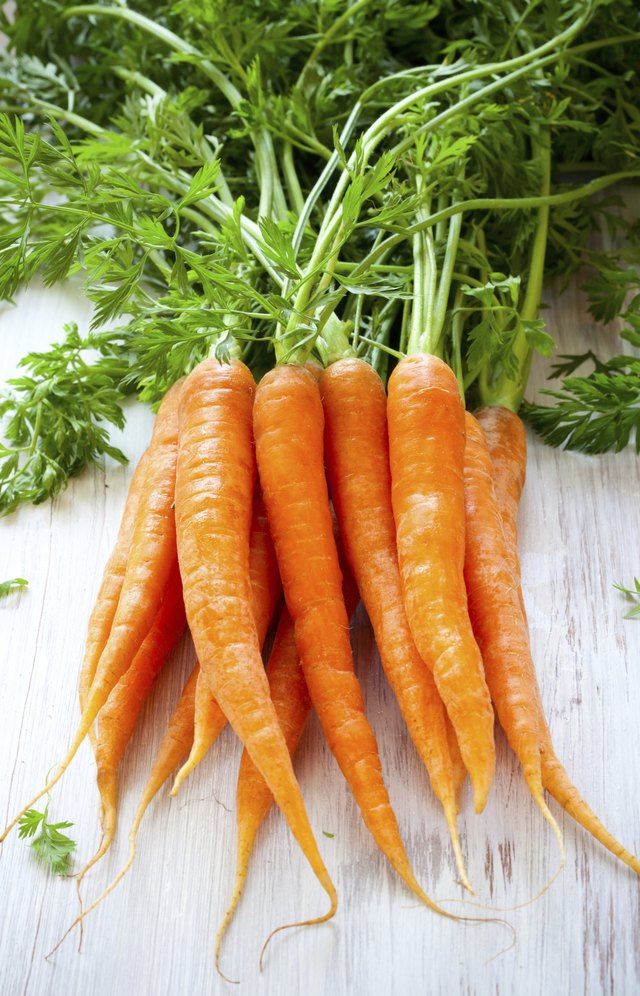 Bunch of fresh carrots
