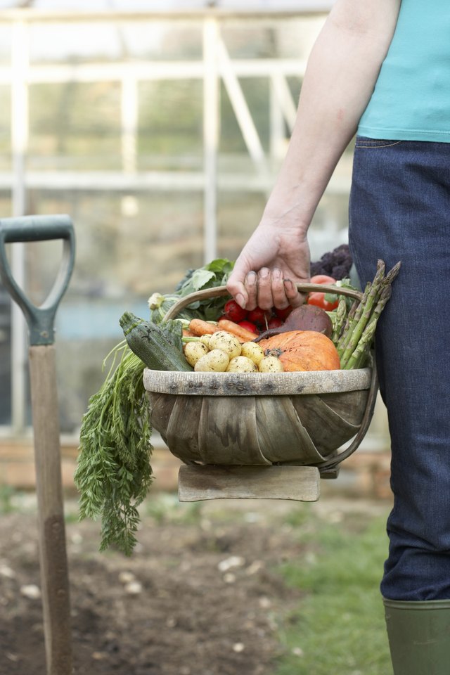 Woman holding assorted vegetables
