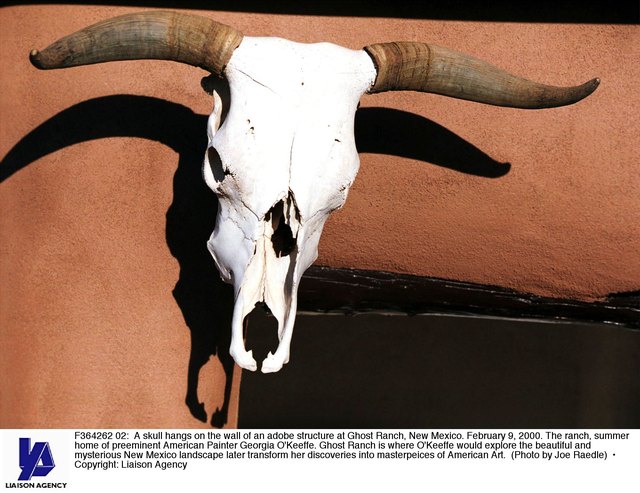Skull head above Georgia O'Keeffe's home