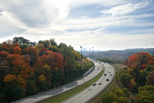 Trees growing next to a freeway outside of a city.