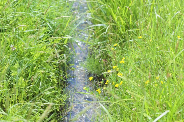 Add an artificial creekbed to your garden to control water runoff.