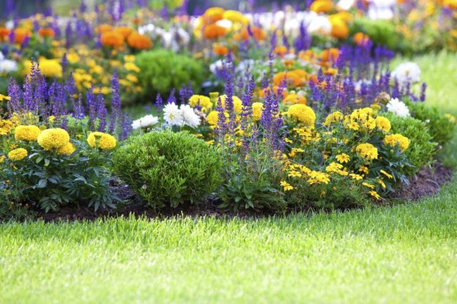 Some turf grass does not understand the meaning of borders.