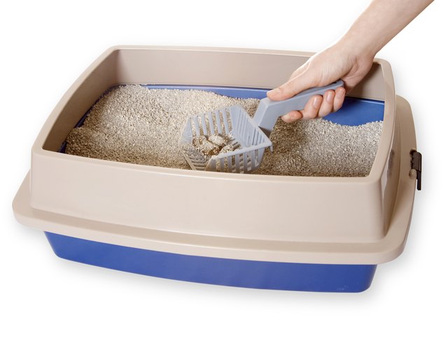 A scoop picking up litter from a litter box