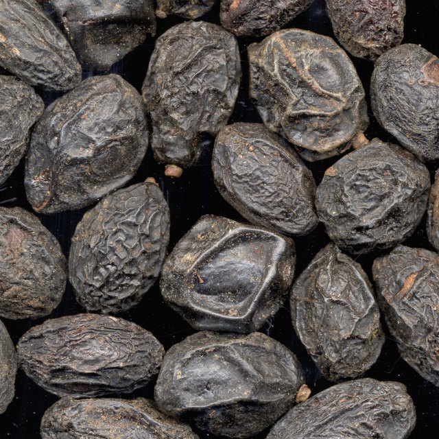 Saw palmetto is found in berries.