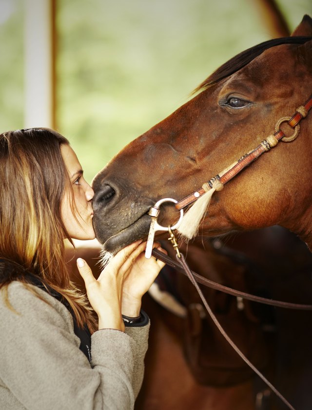 Animals offer us another way to see the world. Animals offer us another way to see the world.