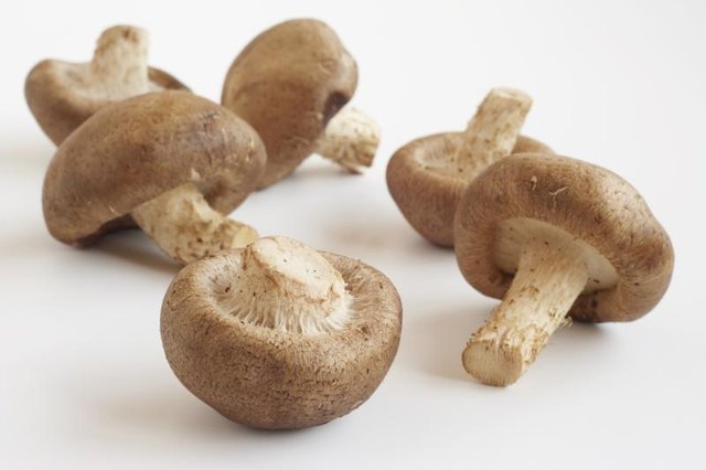 Mushrooms are a flavorful addition to sauces, stir-frys and stews.