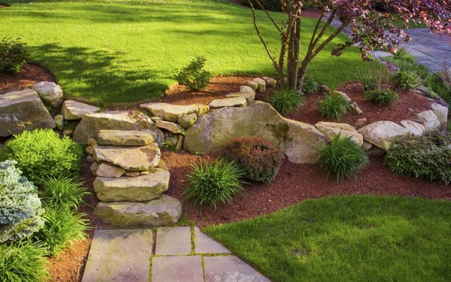 rock garden with mulch highlights a slope in the front yard.