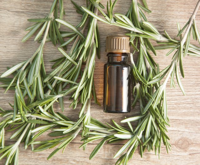 Rosemary oil's naturally invigorating scent boosts alertness.