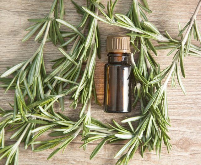 Rosemary oil's naturally invigorating scent boosts alertness.