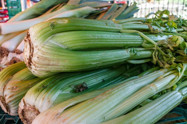 Celery is ready for harvest in fall.