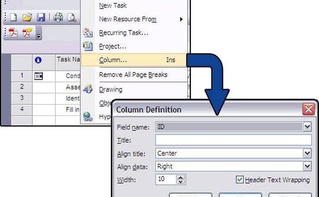 Image 3: Column Definition dialogue box
