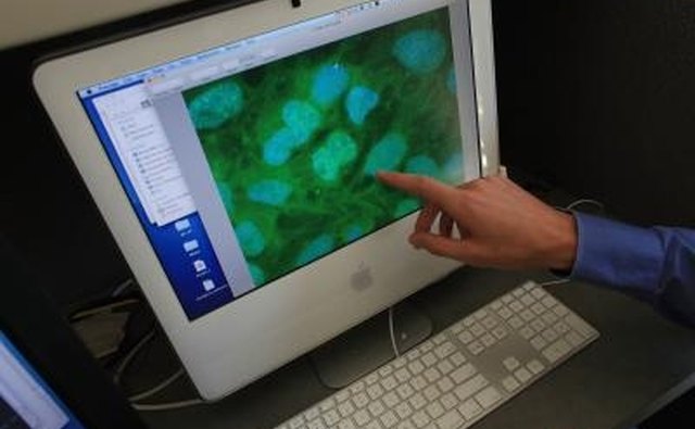In a fluorescent microscope the light comes from molecules within the sample.