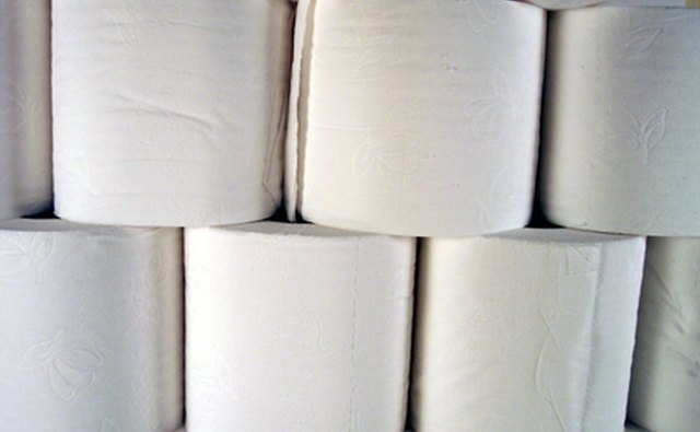 Toilet paper can plug an RV vent pipe.