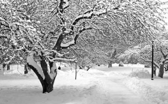 Avoid driving if the snow is very deep.