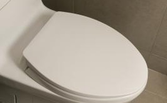 A typical RV toilet uses about 1/2 gallon of water to flush.