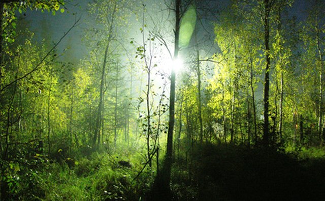 Children are the protagonists in C.S. Lewis's magical landscapes.