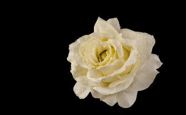 Flowers are welcomed gifts after a Seventh Day Adventist funeral.