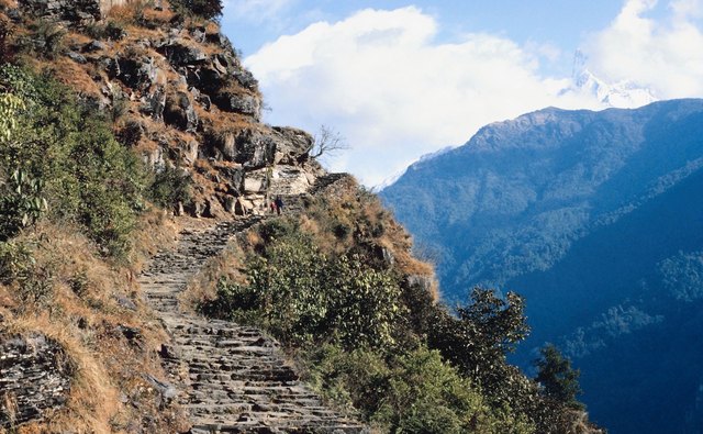 The Himalayas include rich subalpine and alpine meadows.