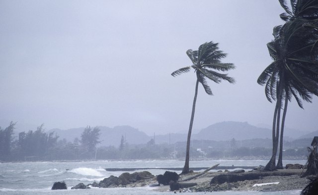 Strong winds can cause mechanical weathering of rocks.