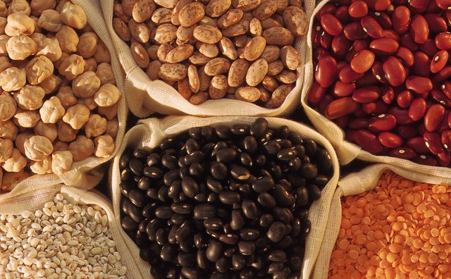 Any dried bean will sprout in the right conditions.