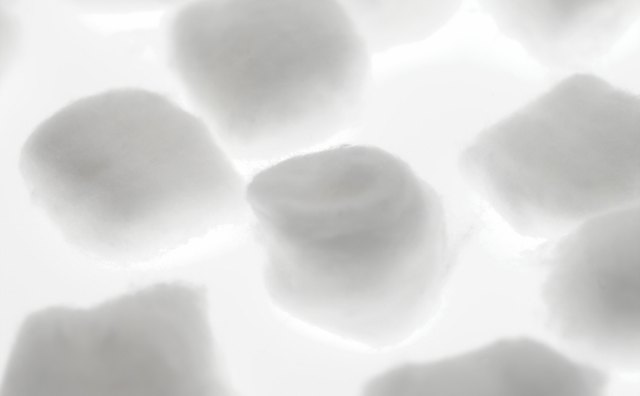 Cotton balls represent the snow of hibernation season.