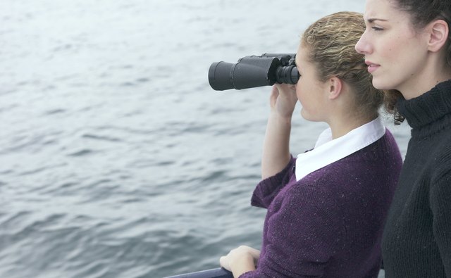 What do we see in something we love?