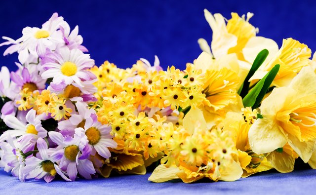 Spring flowers are affordable and attractive.