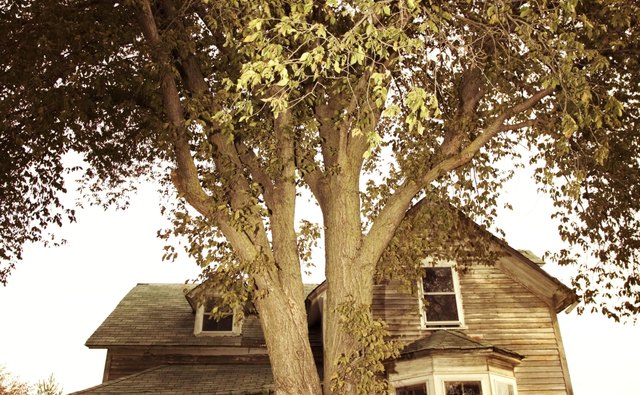 The brick house became a place of love and laughter.