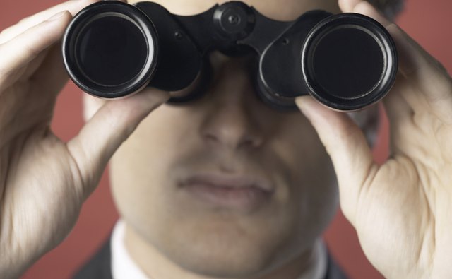 The perspective can be thought of as the lens through which the story is told.