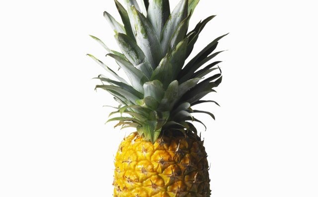 Pineapple juice has a natural enzyme that tenderizes protein.