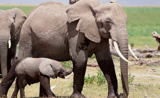 Young scientists study the ways in which offspring are similar to and different from their parents.