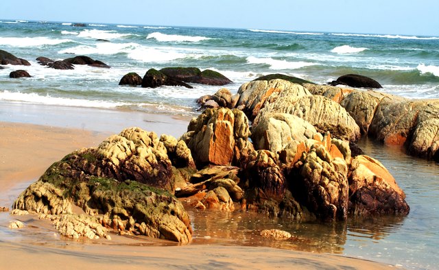 Blowing Rocks Preserve is a fine place for young geologists to observe rock formations and erosion.