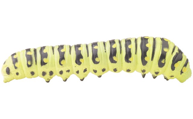 Watching a caterpillar grow into a butterfly will amaze your little one.