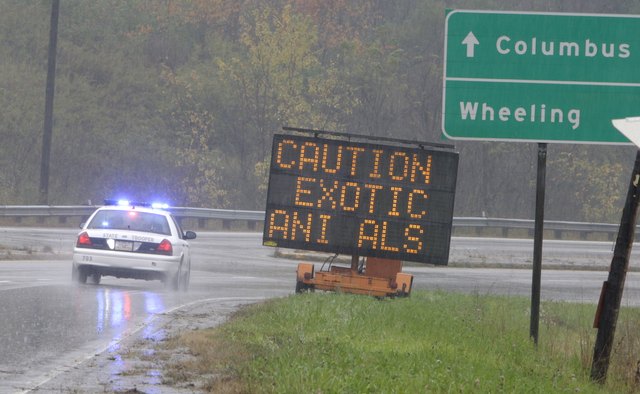 Wardens work in treacherous weather conditions.