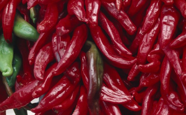 Chilis were a common feature in Aztec cuisine.