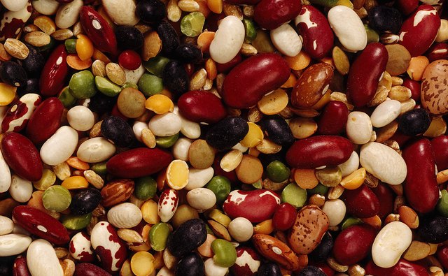 Dried beans are perfect for sensory tables and paper moles.