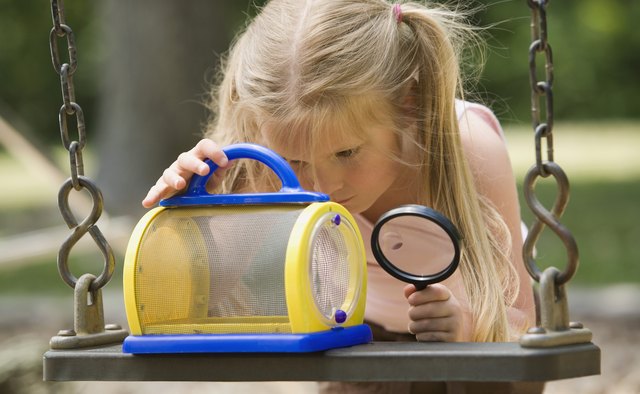 There is little time for science in half-day programs.
