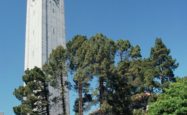 The Haas School takes a wide view of student preparation.