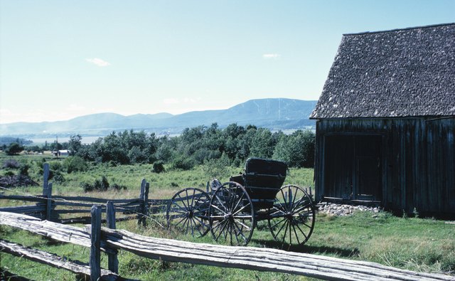 Amish gardens feature uncommon herbs.