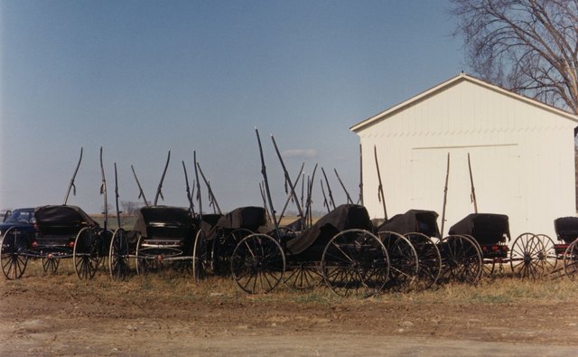 The agrarian Amish lifestyle promotes natural remedies.