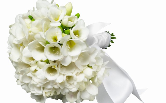 Lilies are elegant yet charming.