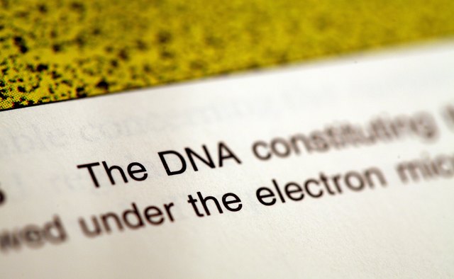 Reading captions and bold print will help you understand what is important.