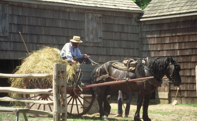 Amish communities value simplicity and largely shy away from modern technology.