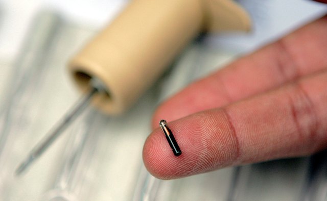 RFID tags have returned hundreds of thousands of lost pets to their homes.