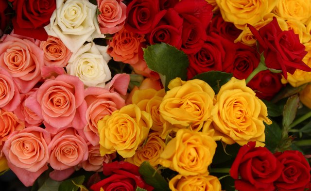 Roses make a classic addition to any arrangement.