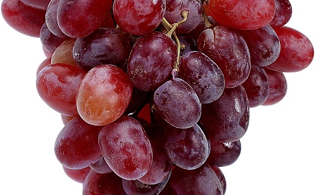 Frozen grapes are a fun-to-eat snack for kids.