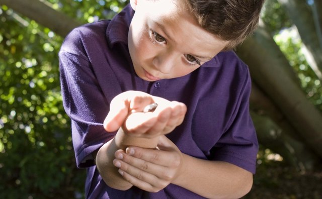 Using their senses, young children observe the world around them.