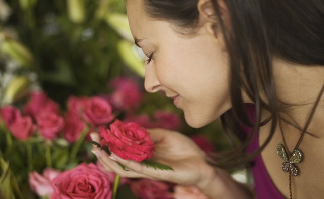 Poetry can awaken your senses with imagery.