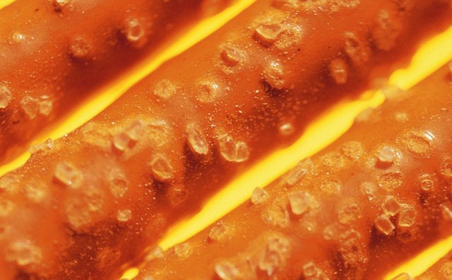 Dip large pretzel sticks into melted chocolate.